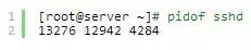 查找sshd進(jìn)程的PID